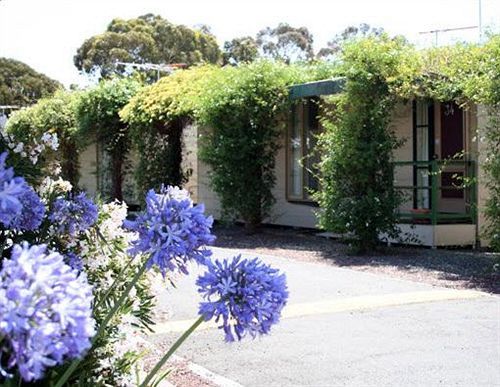 West City Motel Ardeer Kültér fotó