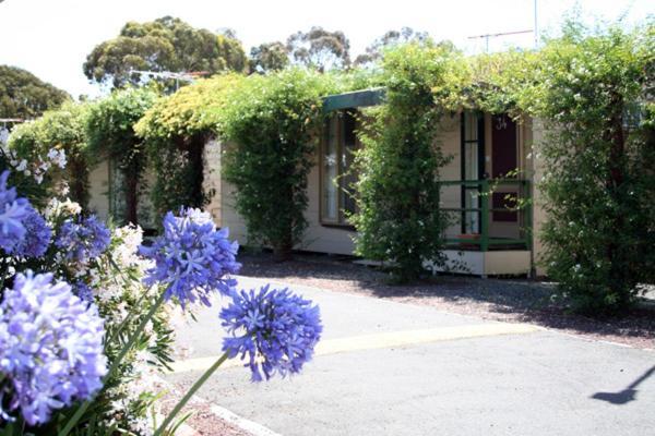 West City Motel Ardeer Kültér fotó